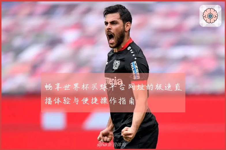 畅享世界杯买球平台网址的极速直播体验与便捷操作指南