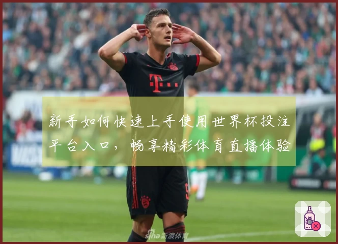 新手如何快速上手使用世界杯投注平台入口，畅享精彩体育直播体验