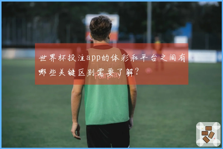 世界杯投注app的体彩和平台之间有哪些关键区别需要了解？