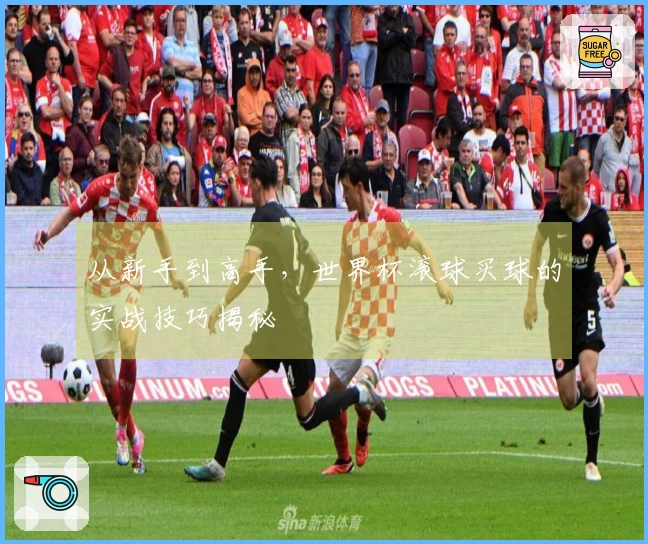从新手到高手，世界杯滚球买球的实战技巧揭秘