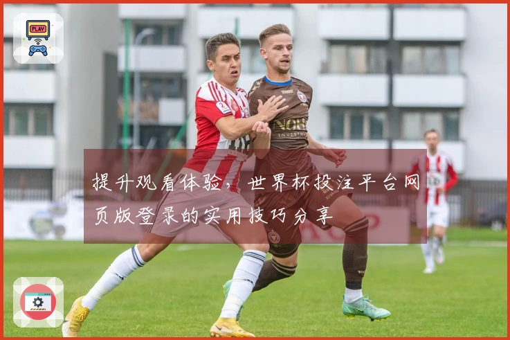 提升观看体验，世界杯投注平台网页版登录的实用技巧分享