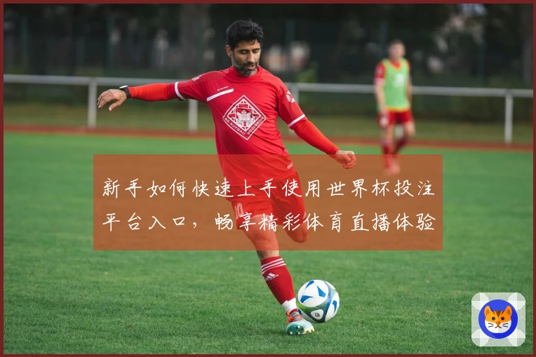 新手如何快速上手使用世界杯投注平台入口，畅享精彩体育直播体验