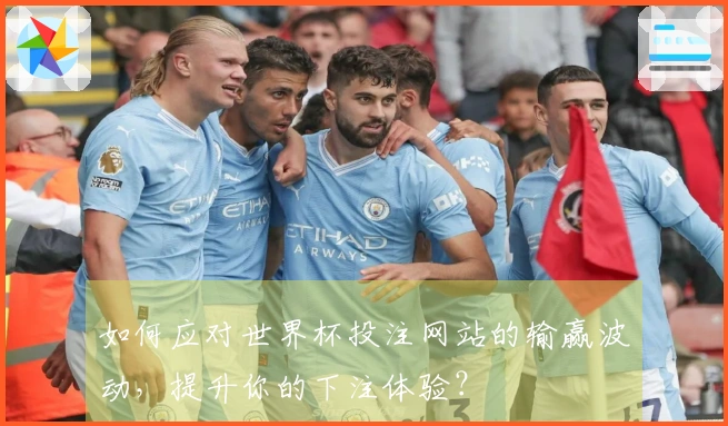 如何应对世界杯投注网站的输赢波动，提升你的下注体验？