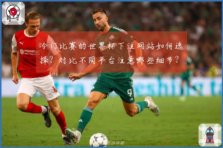 冷门比赛的世界杯下注网站如何选择？对比不同平台注意哪些细节？